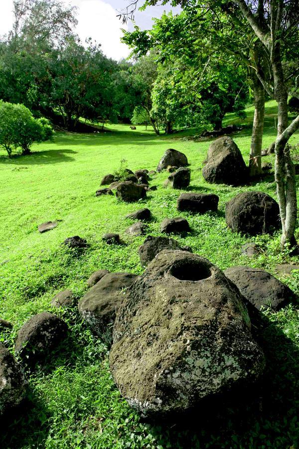 Hawaii Island Retreat At Ahu Pohaku Ho'Omaluhia Βίλα Kapaau Εξωτερικό φωτογραφία