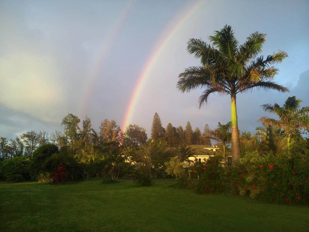 Hawaii Island Retreat At Ahu Pohaku Ho'Omaluhia Βίλα Kapaau Εξωτερικό φωτογραφία