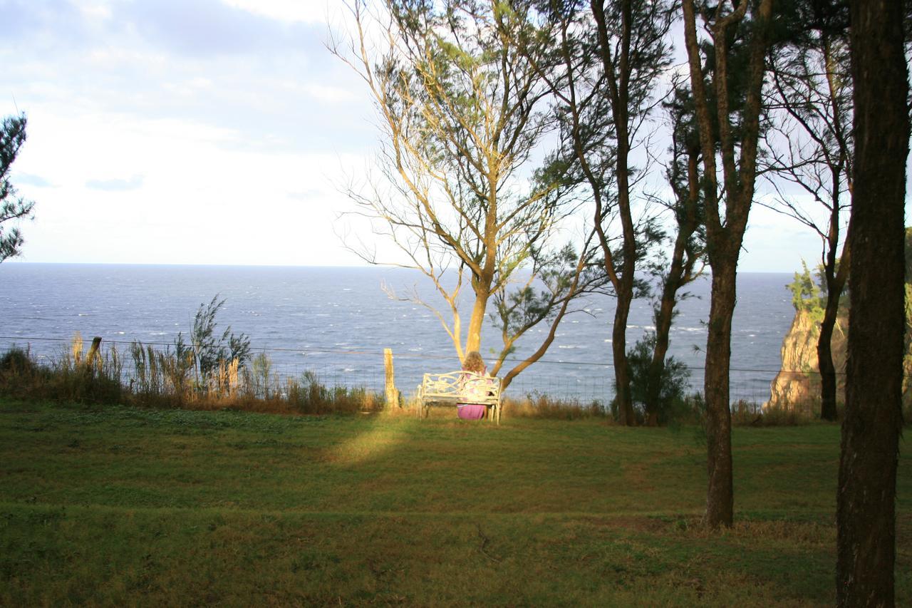 Hawaii Island Retreat At Ahu Pohaku Ho'Omaluhia Βίλα Kapaau Εξωτερικό φωτογραφία