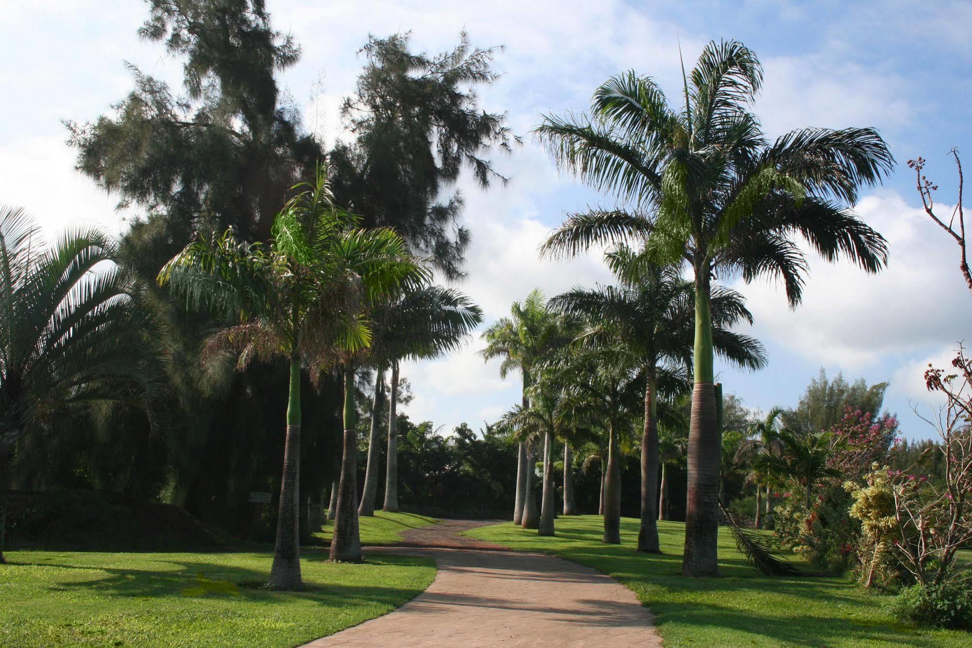 Hawaii Island Retreat At Ahu Pohaku Ho'Omaluhia Βίλα Kapaau Εξωτερικό φωτογραφία